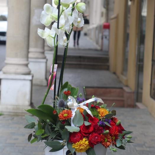 Orchid with decoration