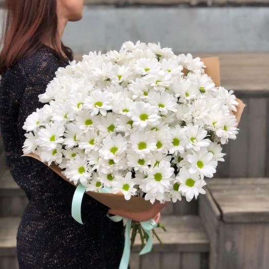 Bouquet of bush chrysanthemum