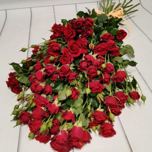Букет из 19 красных кустовых роз