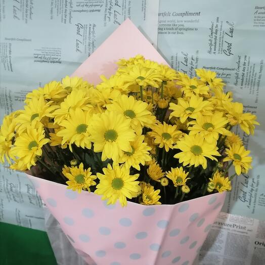 Золото из кустовых хризантем)