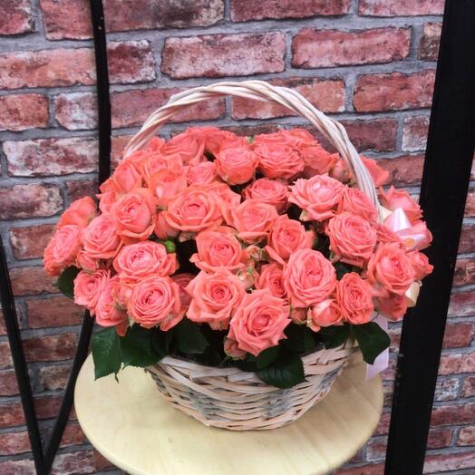Basket with bush Rose Barbados
