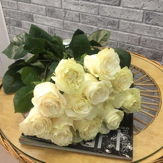 Rosa Premium