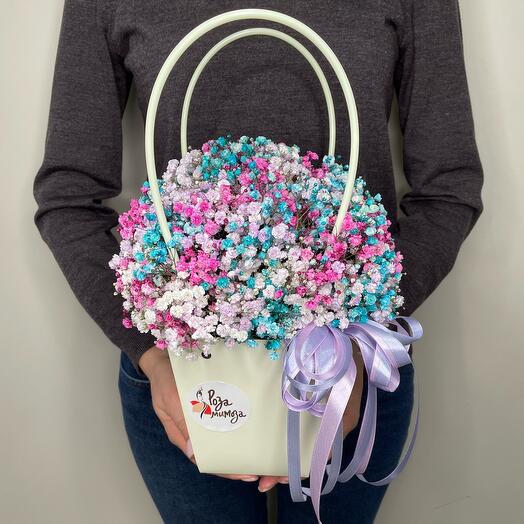 Painted gypsophila in her purse