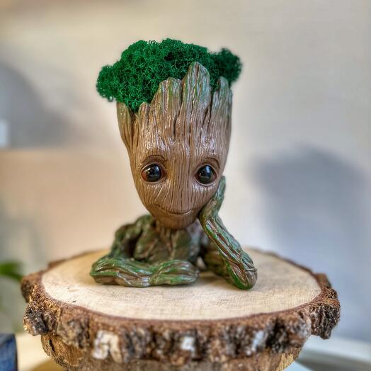 Groot con musgo estabilizado