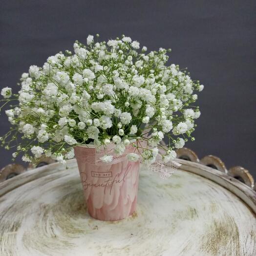 Nube blanca de gypsophila