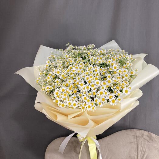 Daisies