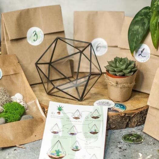 Set "Assemble yourself" Icosahedron S with 2 plants - 159