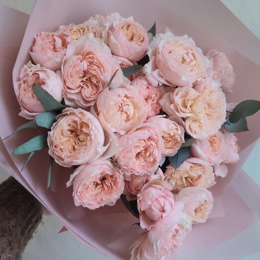 Rosa de peonía con eucalipto