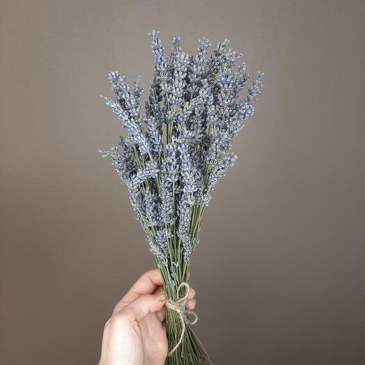 A bunch of lavender
