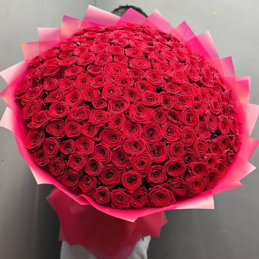 151 Roses
