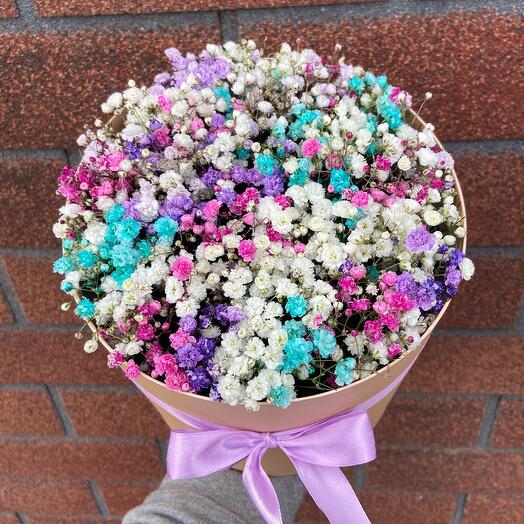 Gypsophila in a box