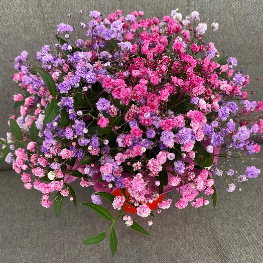 A cup of gypsophila