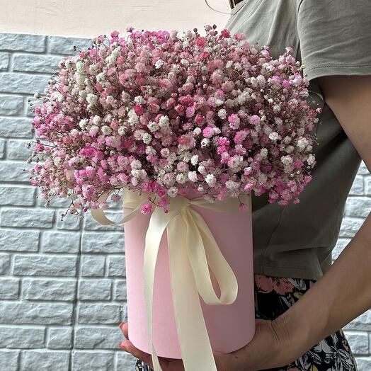 Flores en Caja gypsophila rosa