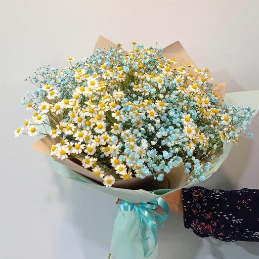 Manzanilla y gypsophila