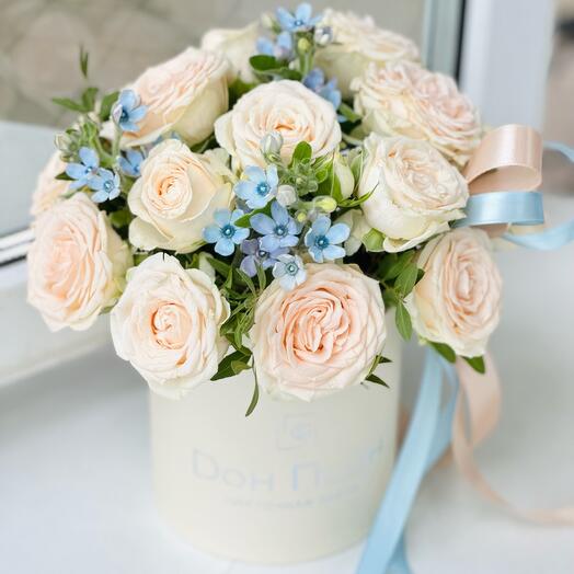 Розы кустовые и оксипеталлум