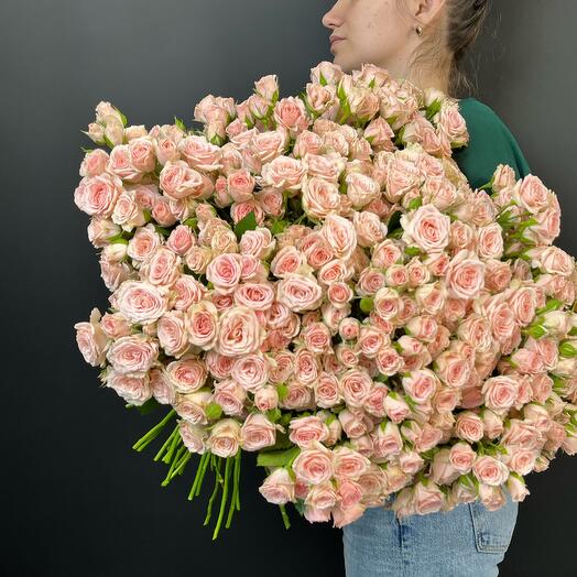 Monookette de 101 rosas De arbusto Lydia