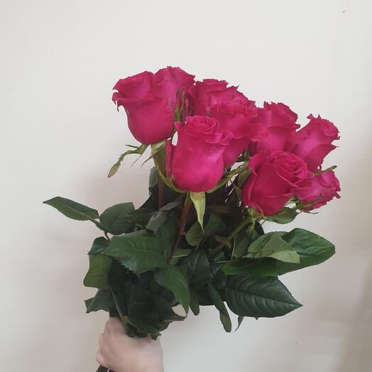 Высокие, малиновые розы