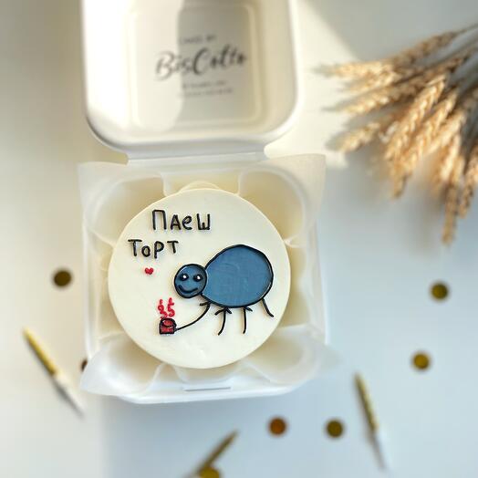 Spider Bento Cake