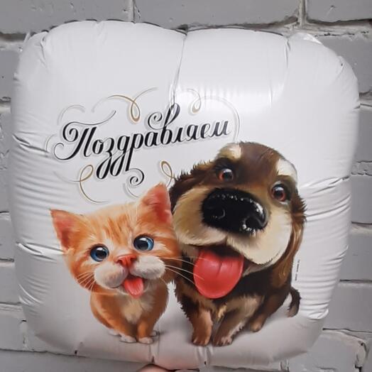 Шар фольгированный ПОЗДРАВЛЯЕМ