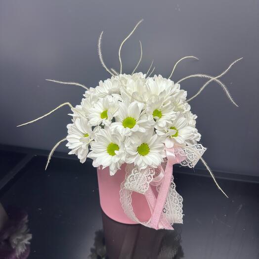 Ромашковые Хризантемы в коробочке🌸