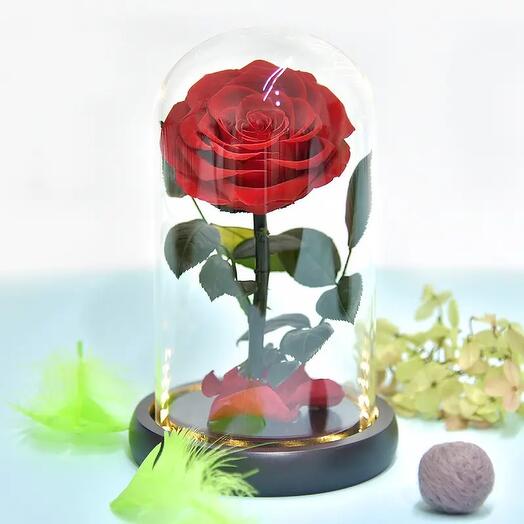 Forever Rosses in Glass Dome With LED
