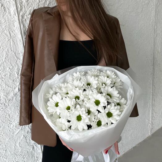 Ромашки / white