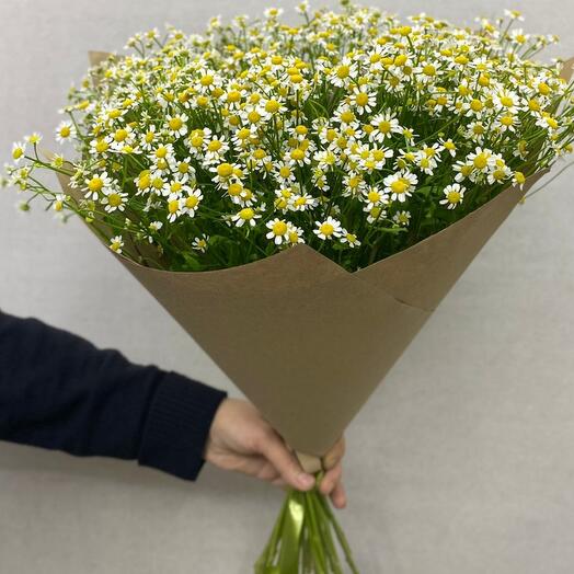 Букет Ромашки