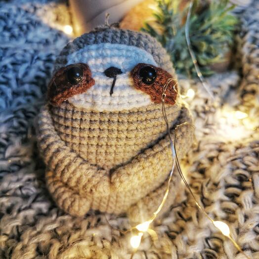 Baby Sloth
