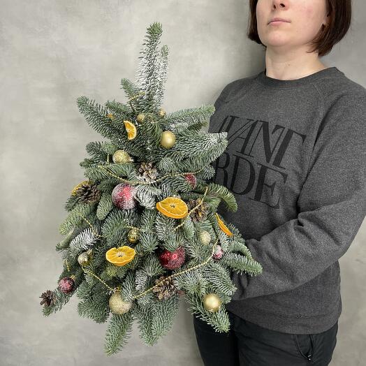 Елка классическая