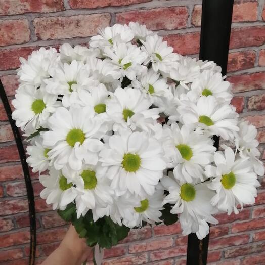 Crisaetema Bacardi blanco 5 piezas