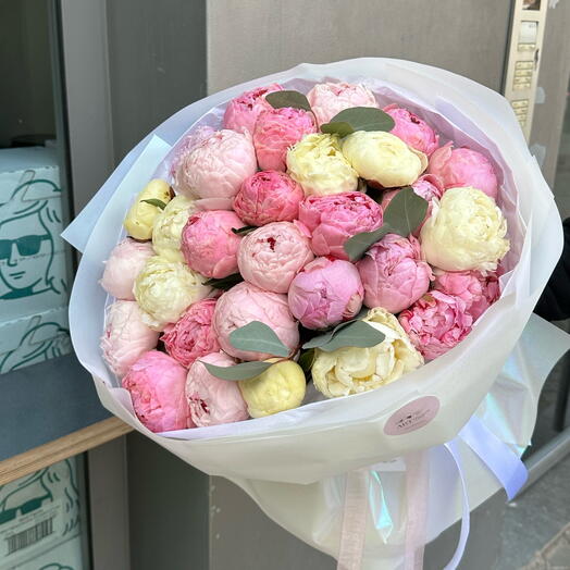 Peony heaven dream