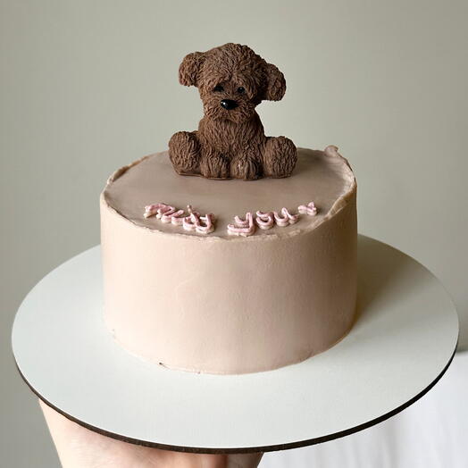 Cake with chocolate figurine 1 kg, торт с шоколадной фигуркой