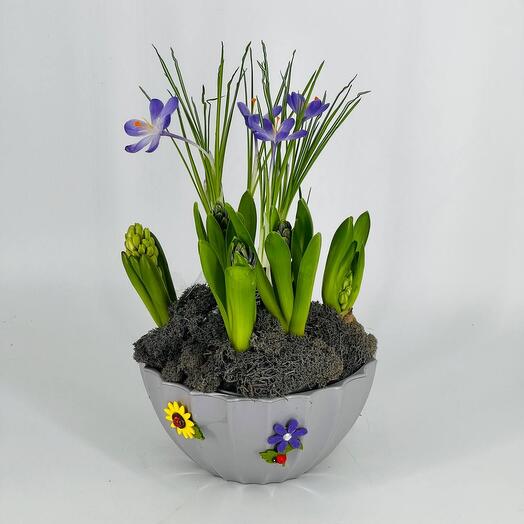 Пасха Кашпо с луковичными цветами гиацинтами и крокусами