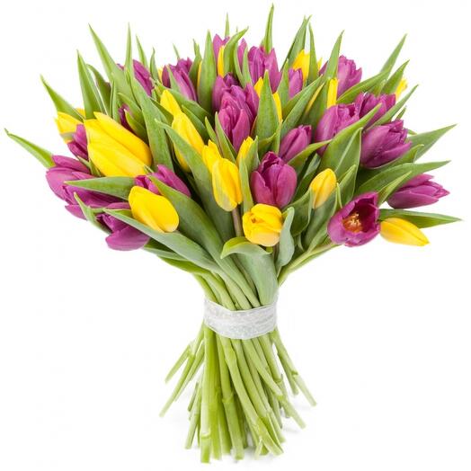 Mix tulipanów, 35 szt.