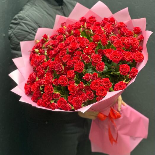 Rosa arbustiva en paquete de diseño