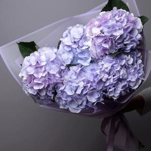 Букет из 5 гортензий