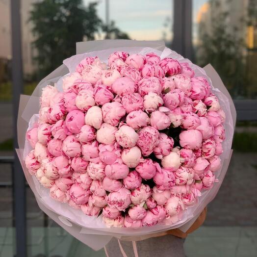 Пионы Сара Бернар