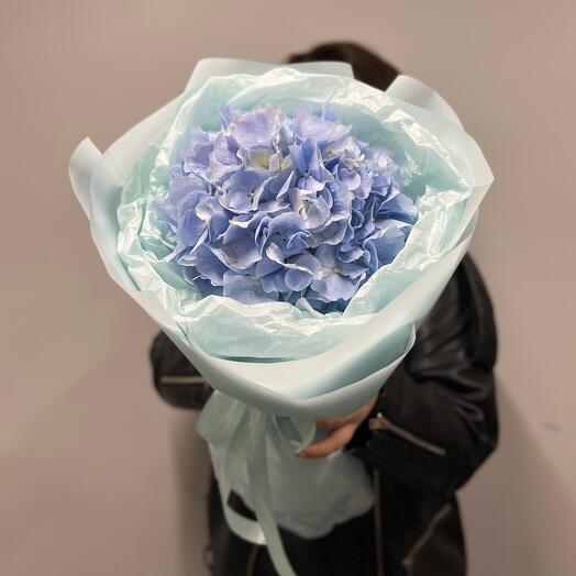 Mono ramo de Hortensia azul