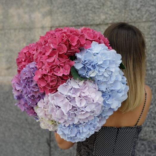 Hydrangea mix bouquet