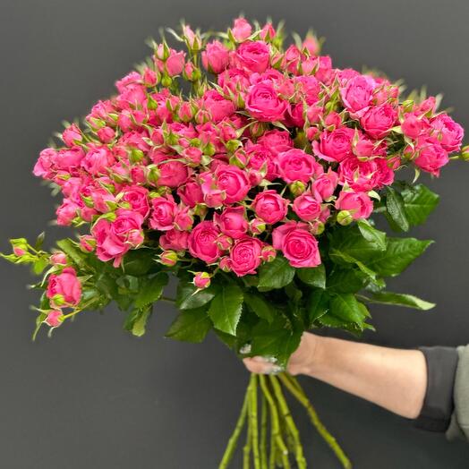Роза кустовая 25
