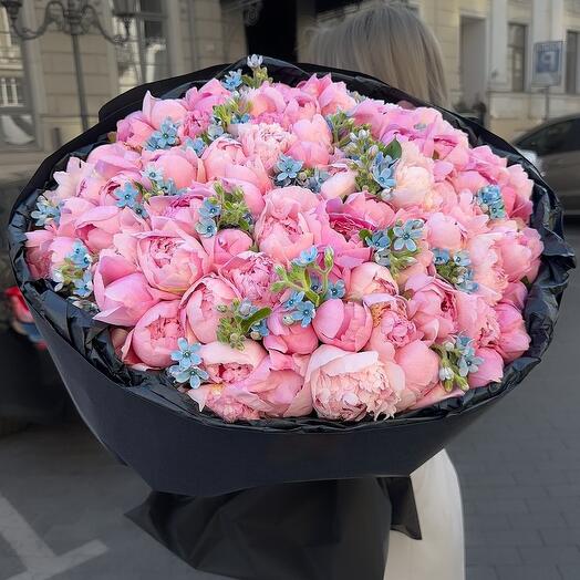 Пионы