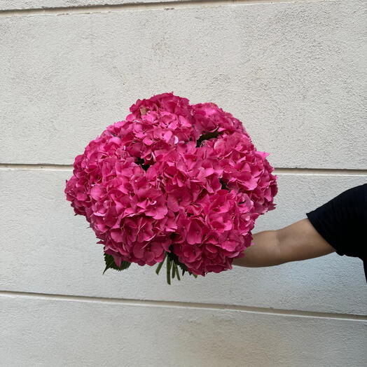 Ramo de hortensias rosas