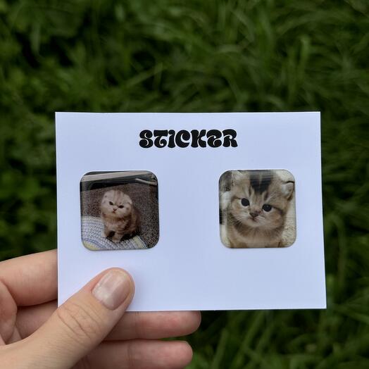 3д стикеры котики