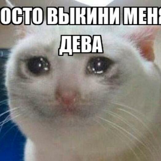 Цветы веб К ред
