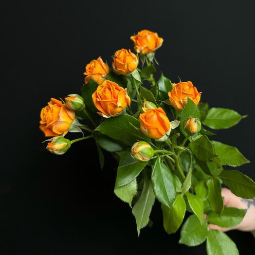 Кустовая оранжевая роза Coral Bubbles, 1 шт., 50 см. Florentika