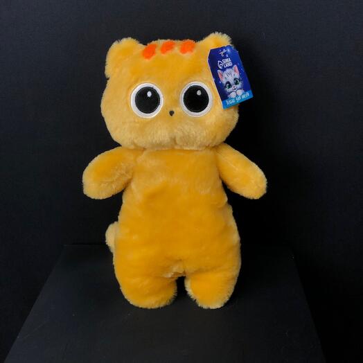 Рыжий кот