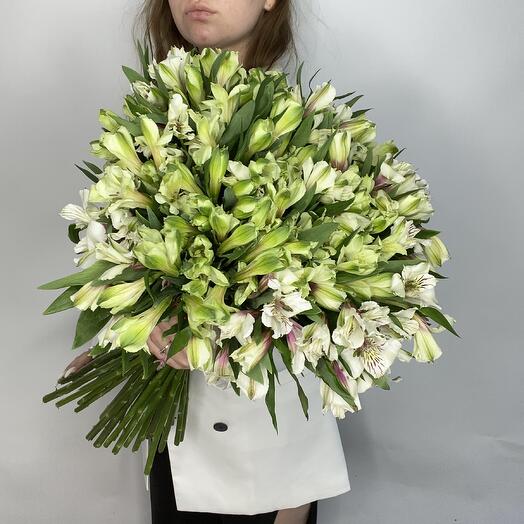Альстромерия