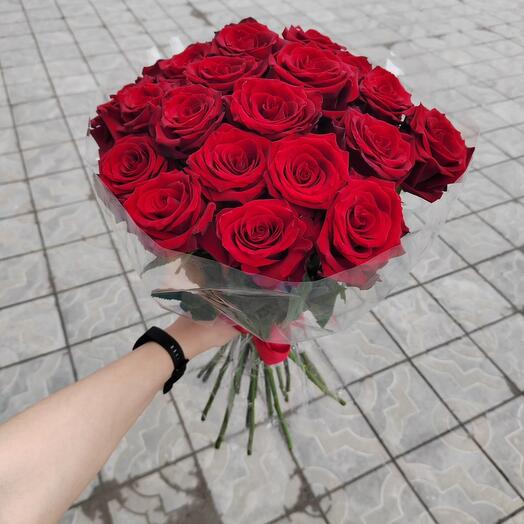 21 rosa