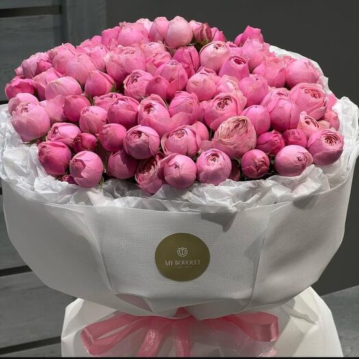 Silva  Pink