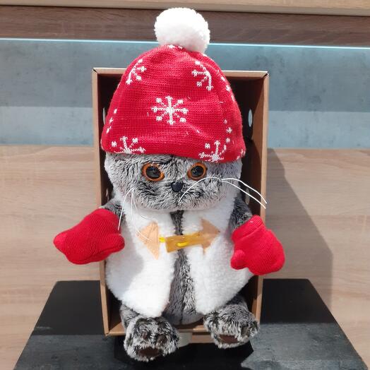 Кот Басик в варежках